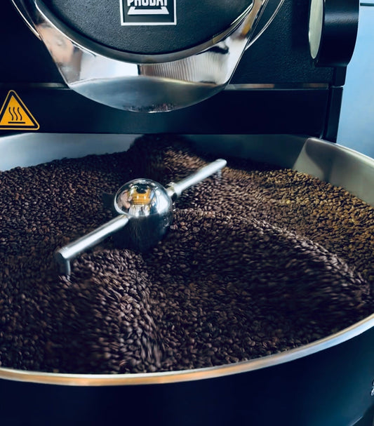 Torréfaction artisanale chez Snob The Bob — Le cœur de notre café
