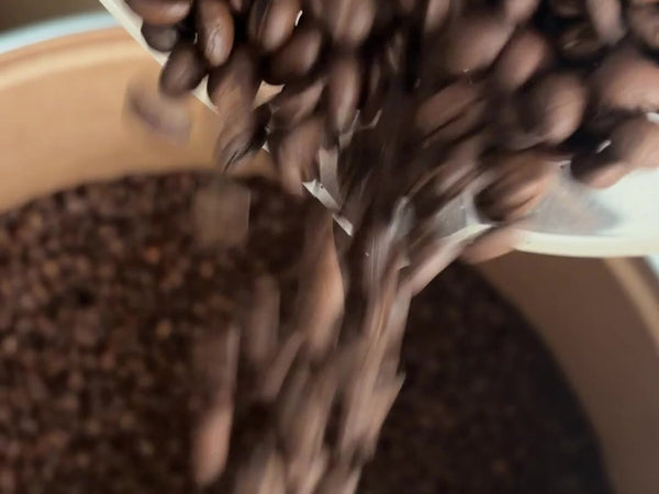 Débuter l'espresso à la maison : ce que nous ferions aujourd'hui, en 5 étapes