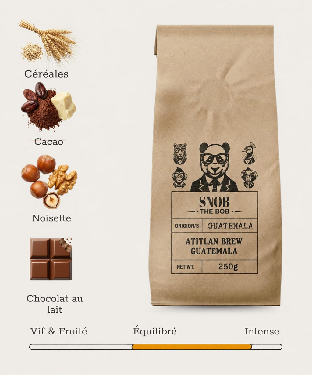 Atitlan Brew – Guatemala