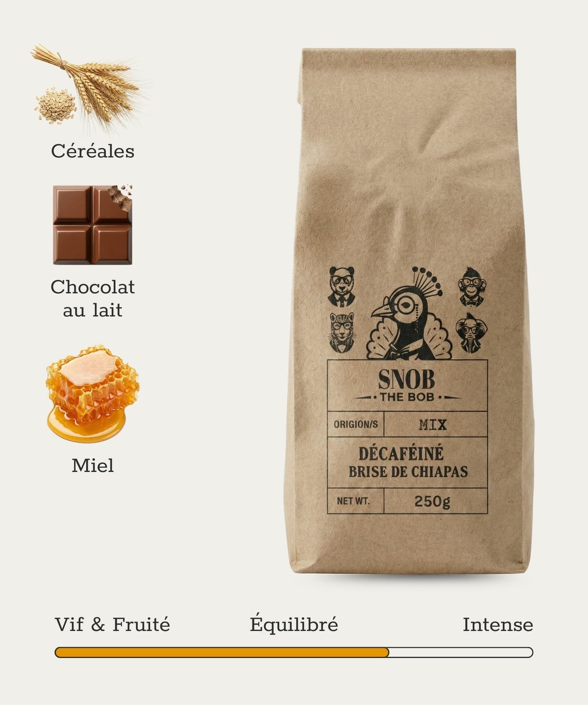 Grains de café de spécialité bio décafeiné torréfiés par Snob the Bob